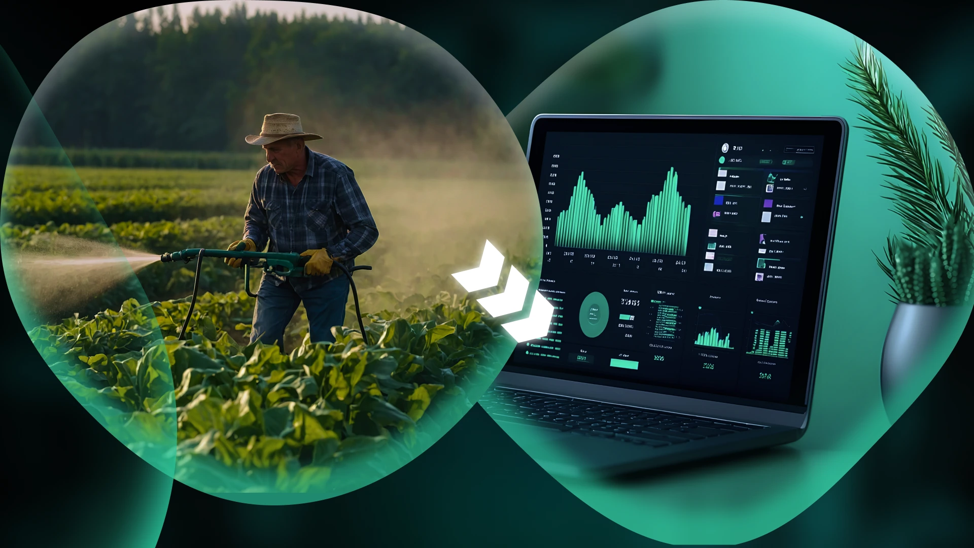 Liquidity Farming: A Beginner’s Guide to Earning Passive Income in DeFi