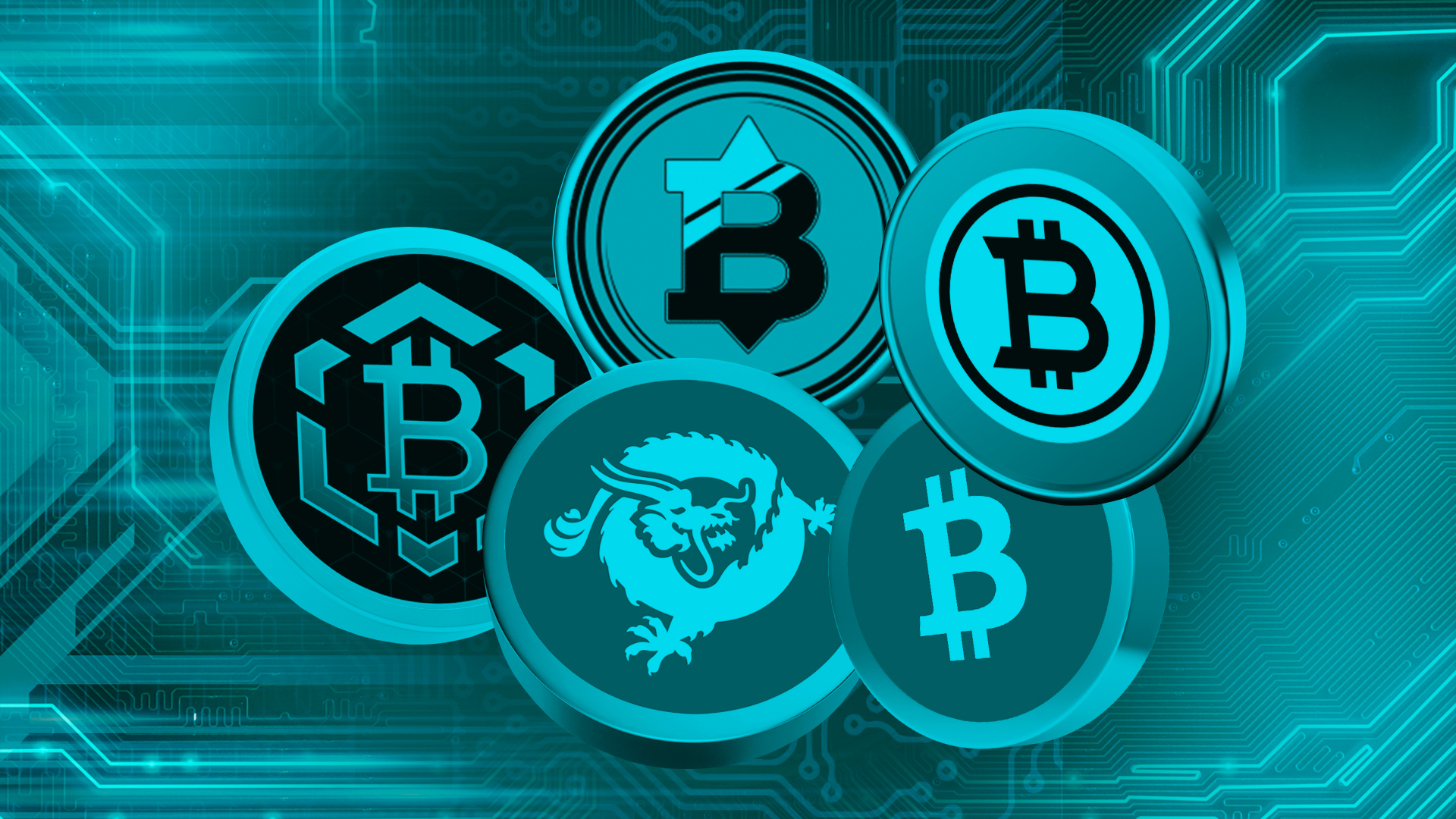 Top 5 Bitcoin Alternative Projects on the Crypto Market